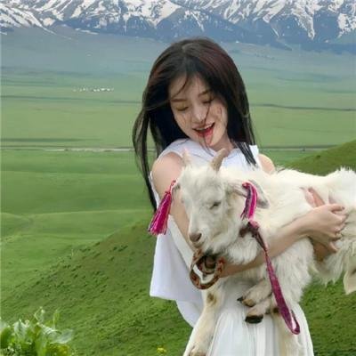 情牵紫罗兰